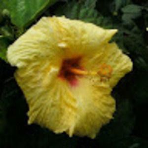 Meet your Posher, Jeff